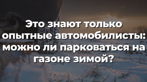 Это знают только опытные автомобилисты: можно ли парковаться на газоне зимой