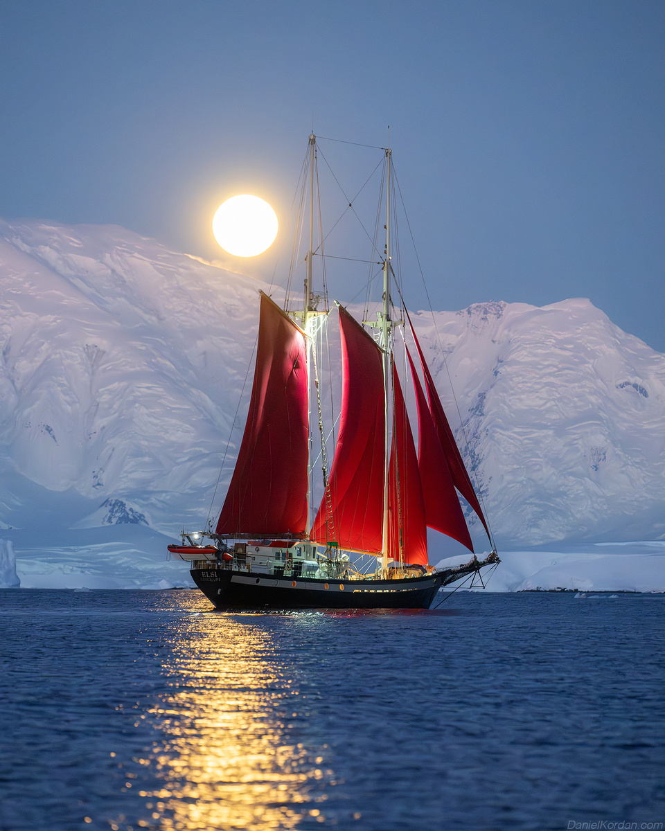 Картинка найдена на просторах интернета, ссылка https://yandex.ru/images/search?from=tabbar&img_url=https%3A%2Fi%2F.pinimg.com%2Foriginals%2Fa8%2F34%2Fа3f%2Fa83р43f81с289b5e7bd53274cf0591a19.jpg&lr=47&pos=15&rpt=simage&text=%D1%86%D0%B2%D0%B5%D1%82%D1%8B%20%D0%BA%D1%80%D1%83%D0%BF%D0%BD%D0%BE%20%D1%84%D0%BE%D1%82%D0%BE