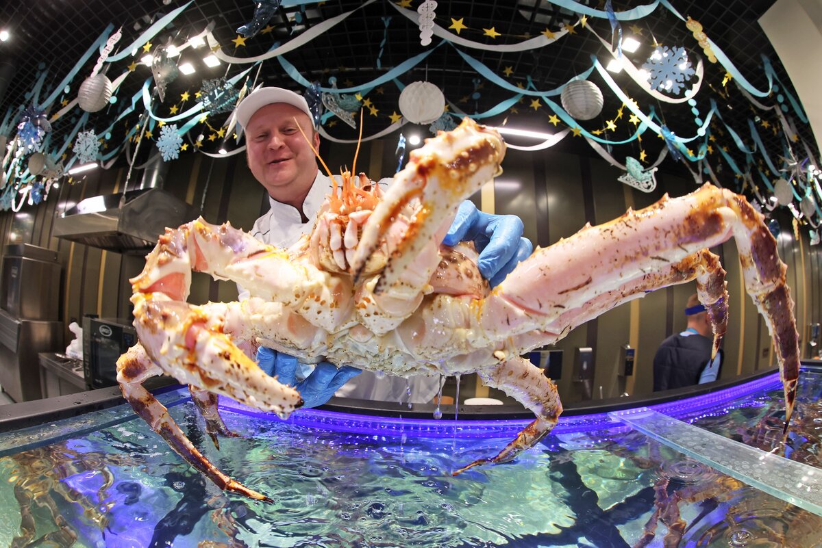  📷 📷 📷 📷 📷 📷 📷 📷 📷 📷 📷 📷 📷 📷 📷 📷 📷 📷 📷 📷 📷   Новый рыбный рынок "Москва - на волне" открылся на востоке столицы