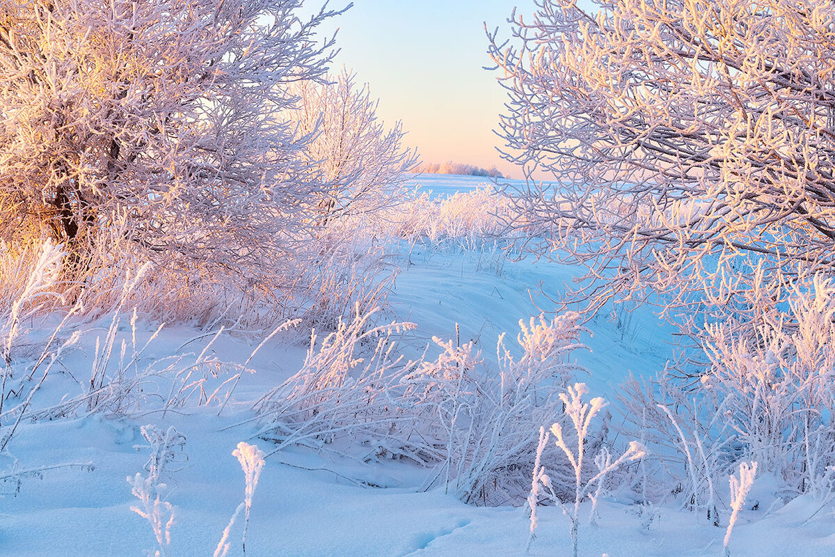Фото Елены БЕЛОЗОРОВОЙ.