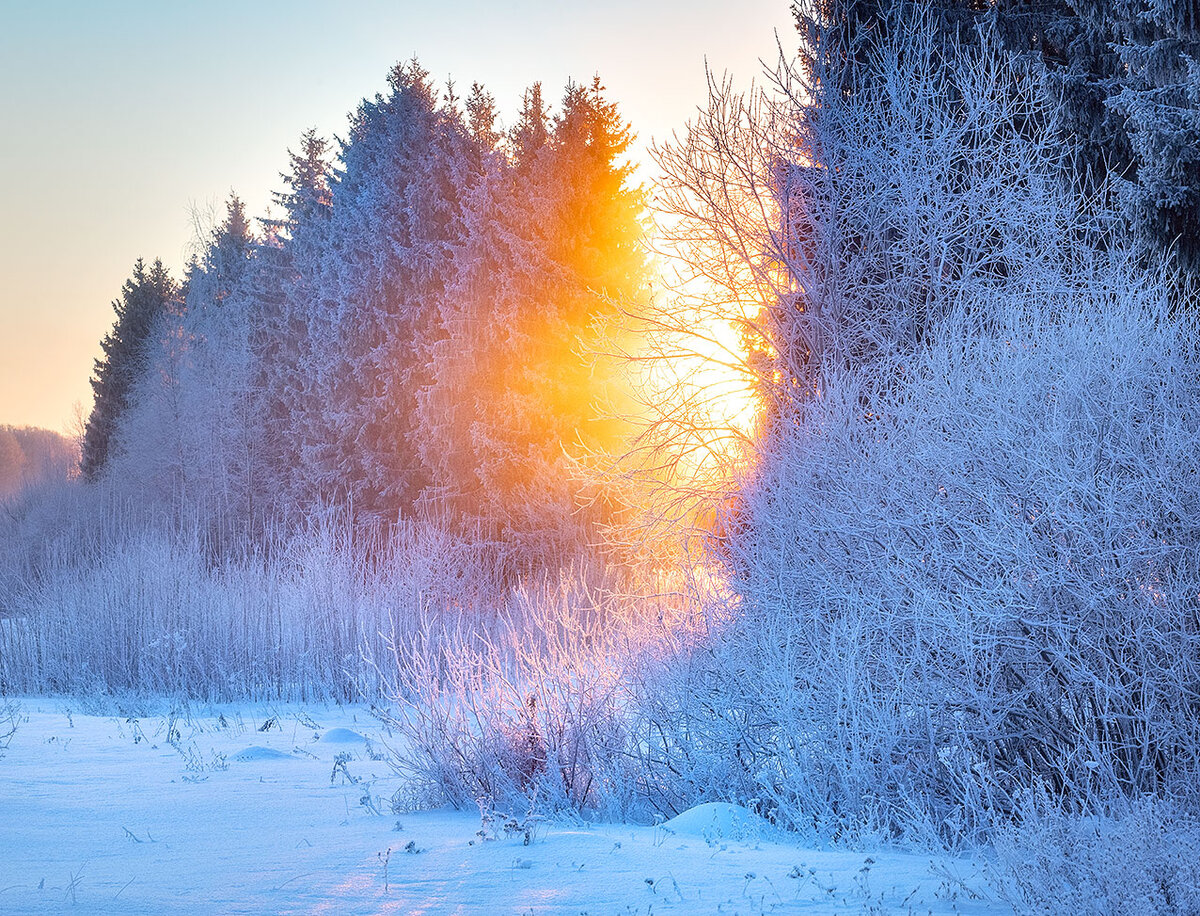 Фото Елены БЕЛОЗОРОВОЙ.