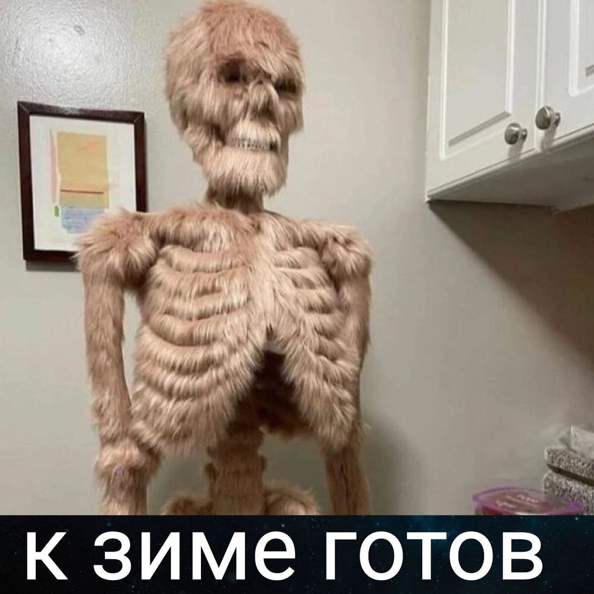 scale_1200