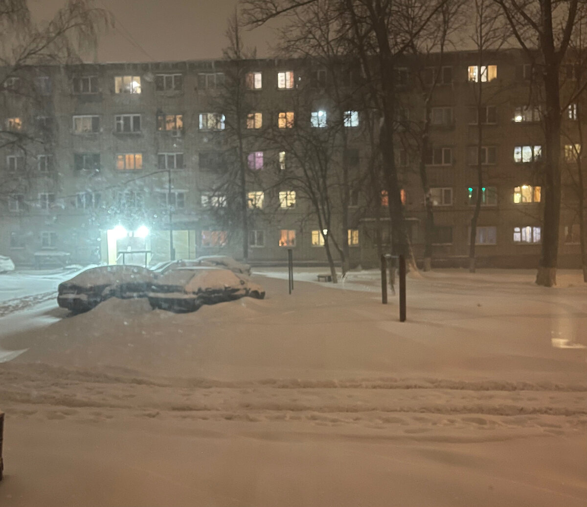 Что-то Ванька не на шутку разбушевался. Хорошо, что не поехала в деревню |  Моя дачная жизнь | Дзен