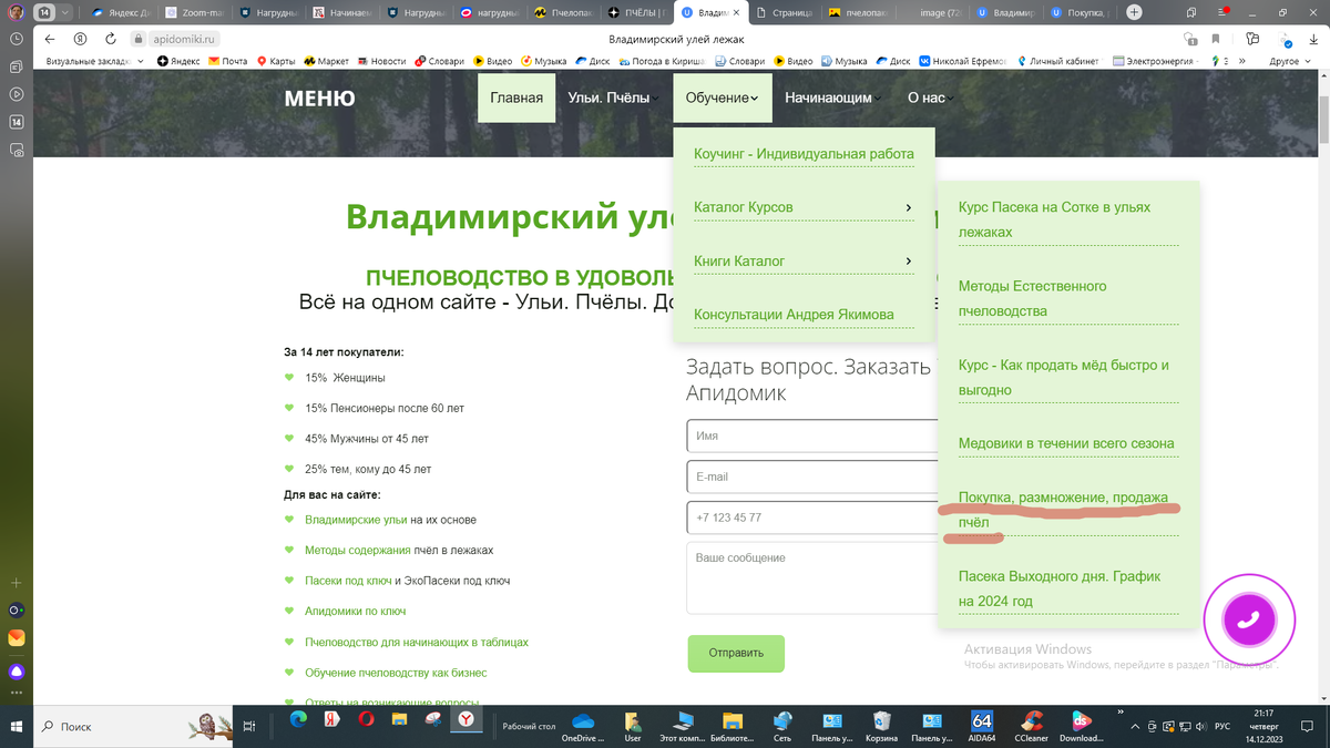 Страница сайта.