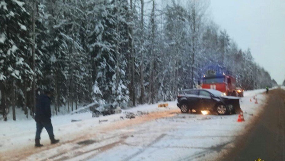    Автор фото: ГУ МВД по Санкт-Петербургу и Ленинградской области