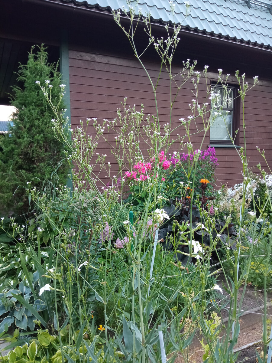 Оттенок коричневого на доме более светлый, чем на летней кухне. 