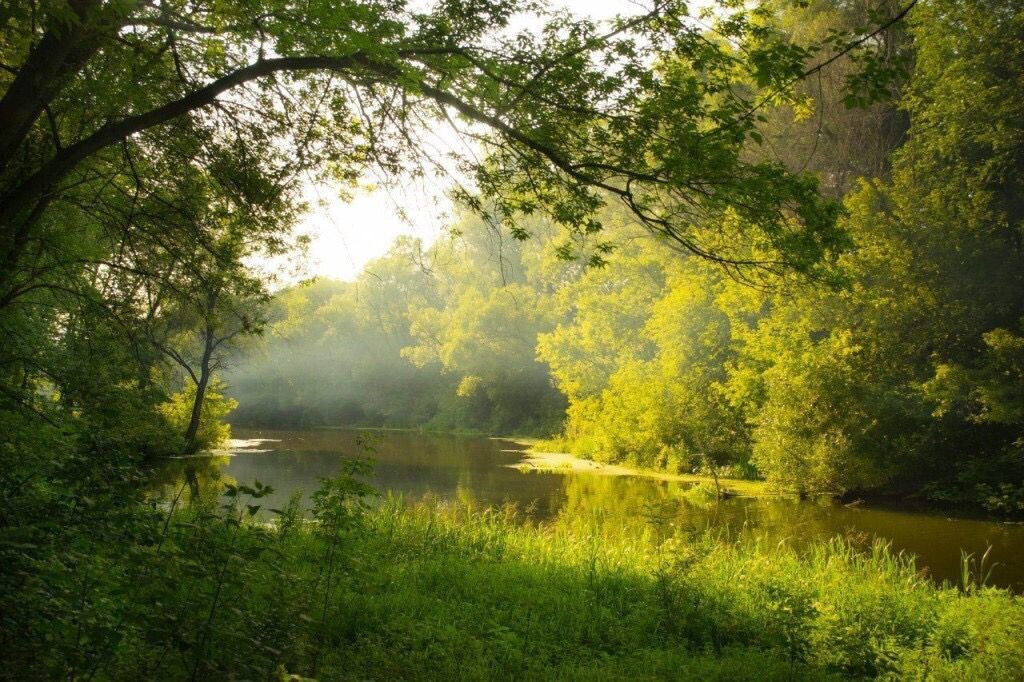 Картинка найдена на просторах интернета, ссылка https://yandex.ru/images/search?from=tabbar&img_url=https%3A%2Fi%2F.pinimg.com%2Foriginals%2Fa8%2F34%2Fа3f%2Fa83р43f81с28739b5e7bd53274cf0591a19.jpg&lr=47&pos=15&rpt=simage&text=%D1%86%D0%B2%D0%B5%D1%82%D1%8B%20%D0%BA%D1%80%D1%83%D0%BF%D0%BD%D0%BE%20%D1%84%D0%BE%D1%82%D0%BE