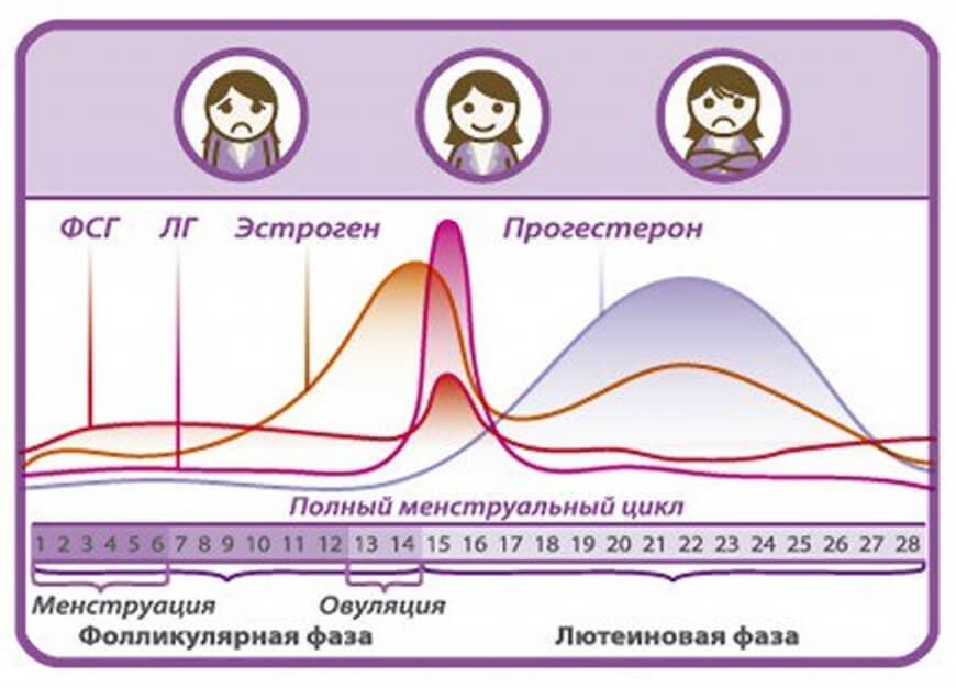 Фазы цикла менструационного цикла. Цикл гормонов у женщин. Гормоны по фазам менструационного цикла. Фазы женского цикла и гормоны.