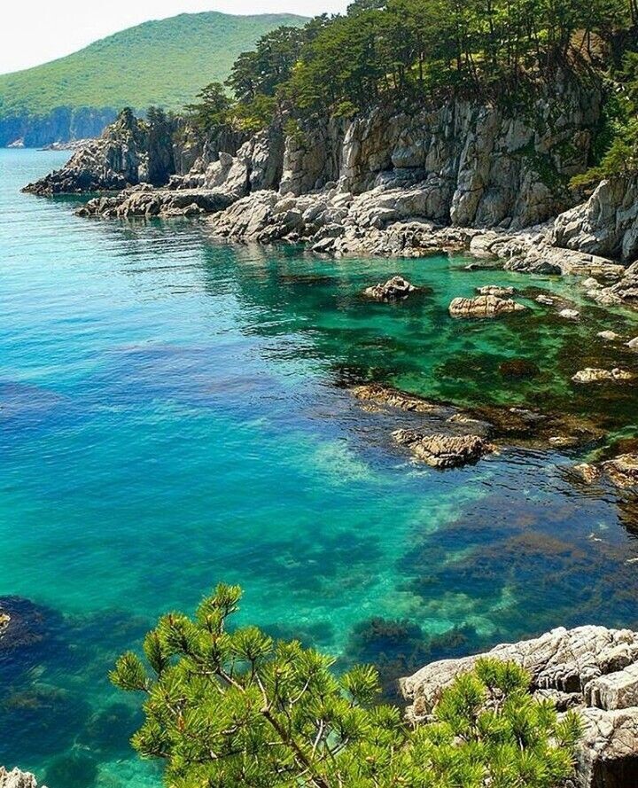 Картинка найдена на просторах интернета, ссылка https://yandex.ru/images/search?from=tabbar&img_url=https%3A%2Fi%2F.pinimg.com%2Foriginals%2Fa8%2F34%2Fа3f%2Fa83р43f81с28789b5e7bd53274cf0591a19.jpg&lr=47&pos=15&rpt=simage&text=%D1%86%D0%B2%D0%B5%D1%82%D1%8B%20%D0%BA%D1%80%D1%83%D0%BF%D0%BD%D0%BE%20%D1%84%D0%BE%D1%82%D0%BE