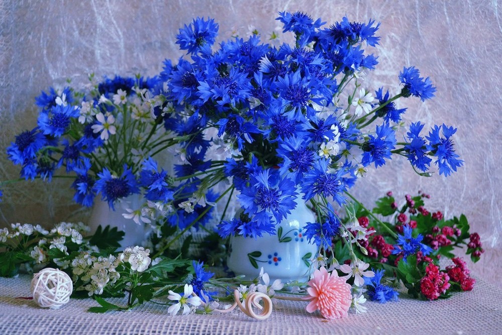 Картинка найдена на просторах интернета, ссылка https://yandex.ru/images/search?from=tabbar&img_url=https%3A%2Fi%2F.pinimg.com%2Foriginals%2Fa8%2F34%2Fа3f%2Fa83р43f81с28479b5e7bd53274cf0591a149.jpg&lr=47&pos=15&rpt=simage&text=%D1%86%D0%B2%D0%B5%D1%82%D1%8B%20%D0%BA%D1%80%D1%83%D0%BF%D0%BD%D0%BE%20%D1%84%D0%BE%D1%82%D0%BE