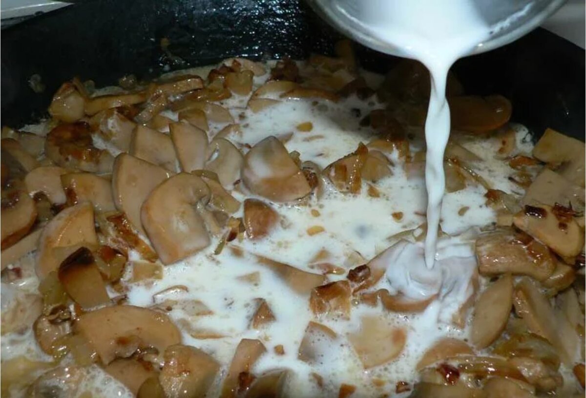 Грибы томленые в сливках. Шампиньоны в сливочном соусе. Белые грибы со сливками. Жульен с грибами на сливках. Вешенки в сливочном соусе.