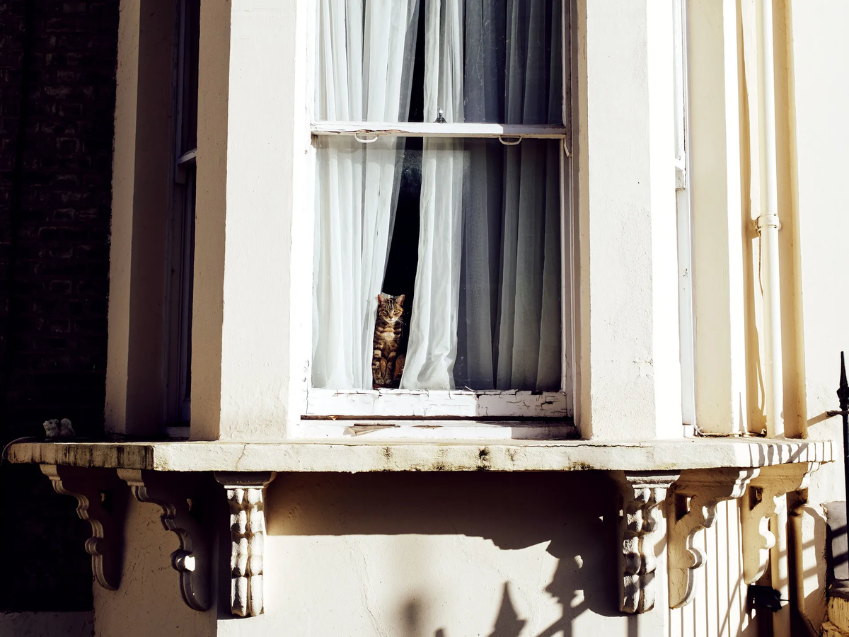 ФОТОГРАФИЯ: АНГЕЛ САНТАНА/GETTY IMAGES