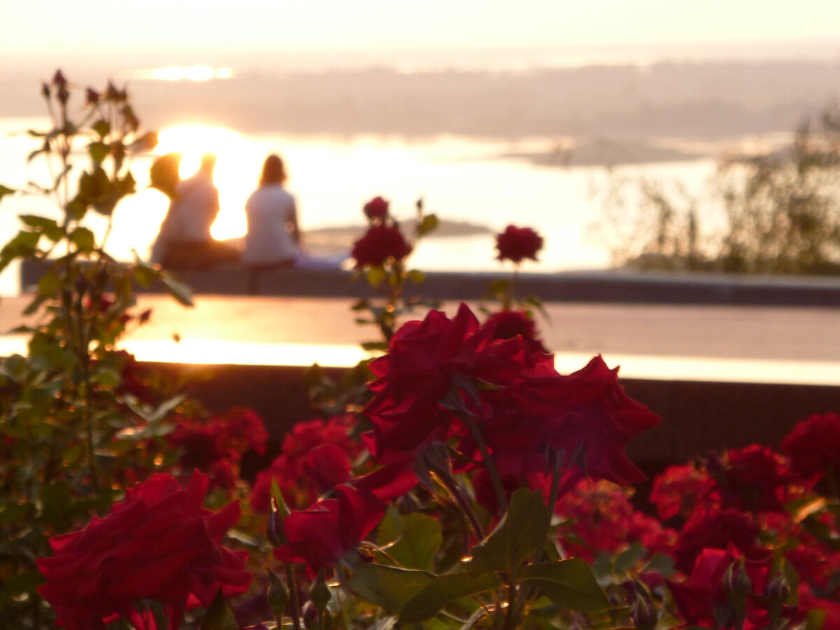 Фото из личного архива. 