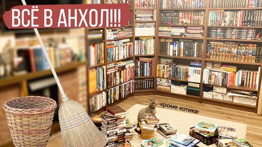 УБОРКА НА КНИЖНЫХ ПОЛКАХ! Масштабная перестановка. Кот помогал, как мог.