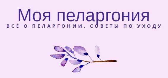 Так ИИ выдал мне картинку лого моего канала