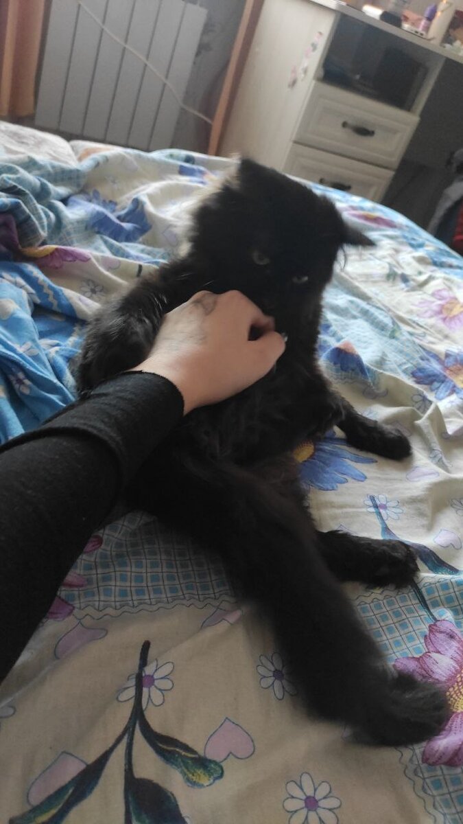 Соня. Одна из дочерей Серсеи. 