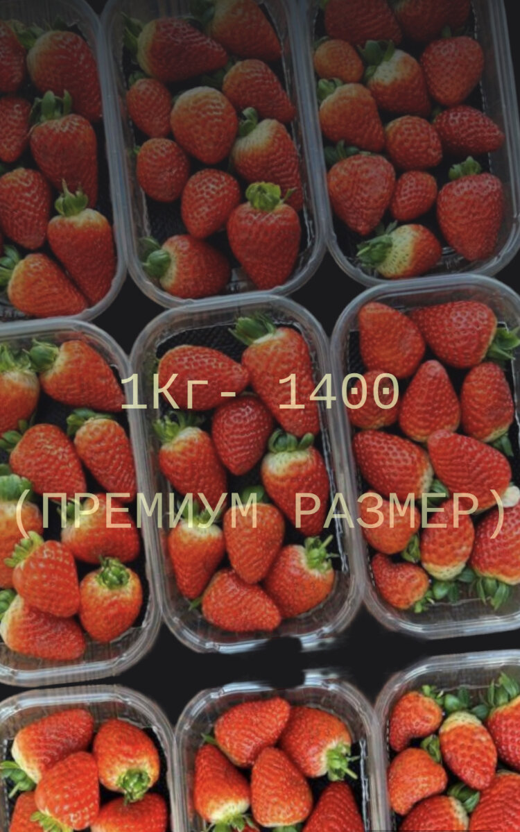 100% Био защита.
Вы получаете ягоды максимально быстро: Всегда свежие ягоды!