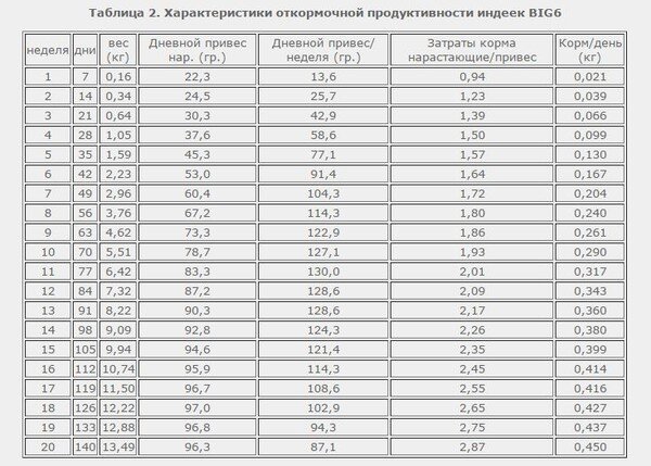 Вес по дням таблица