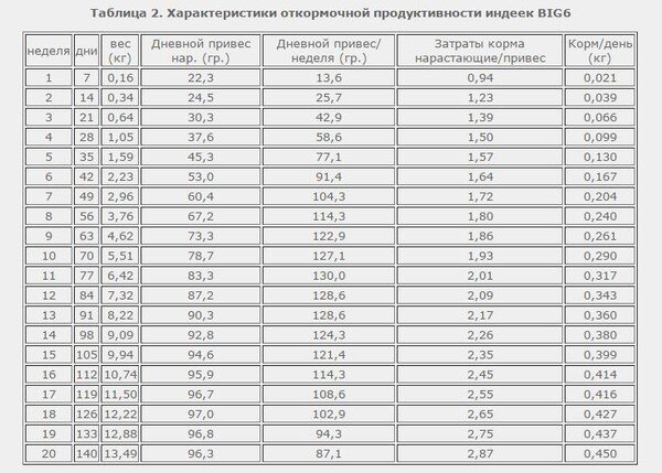 Схема кормления индюшат комбикормом