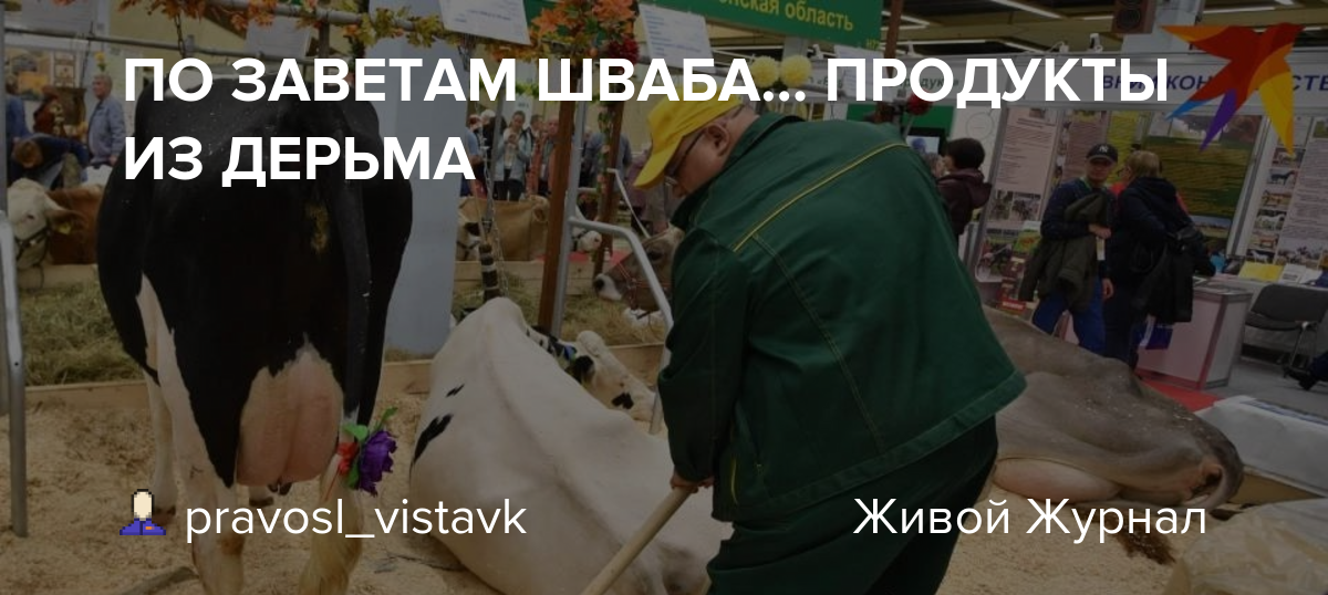 Вот так это комментируют люди