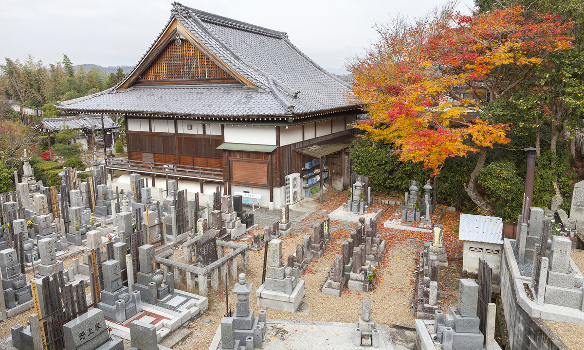 Храм Храм Энкодзи в Японии. Фото: 123rf.com