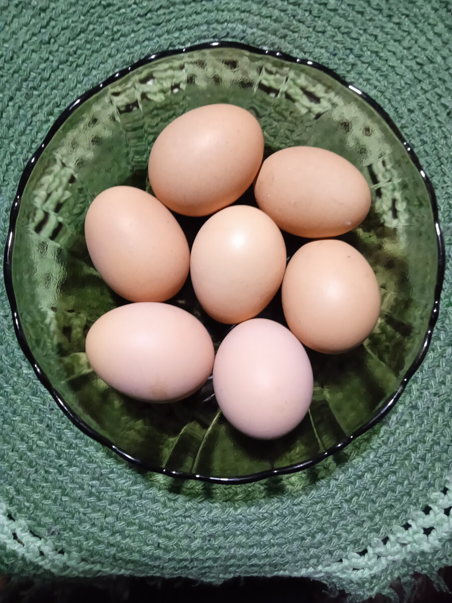 фото автора статьи