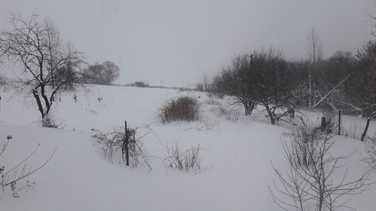 Мой сад-огород под снегом