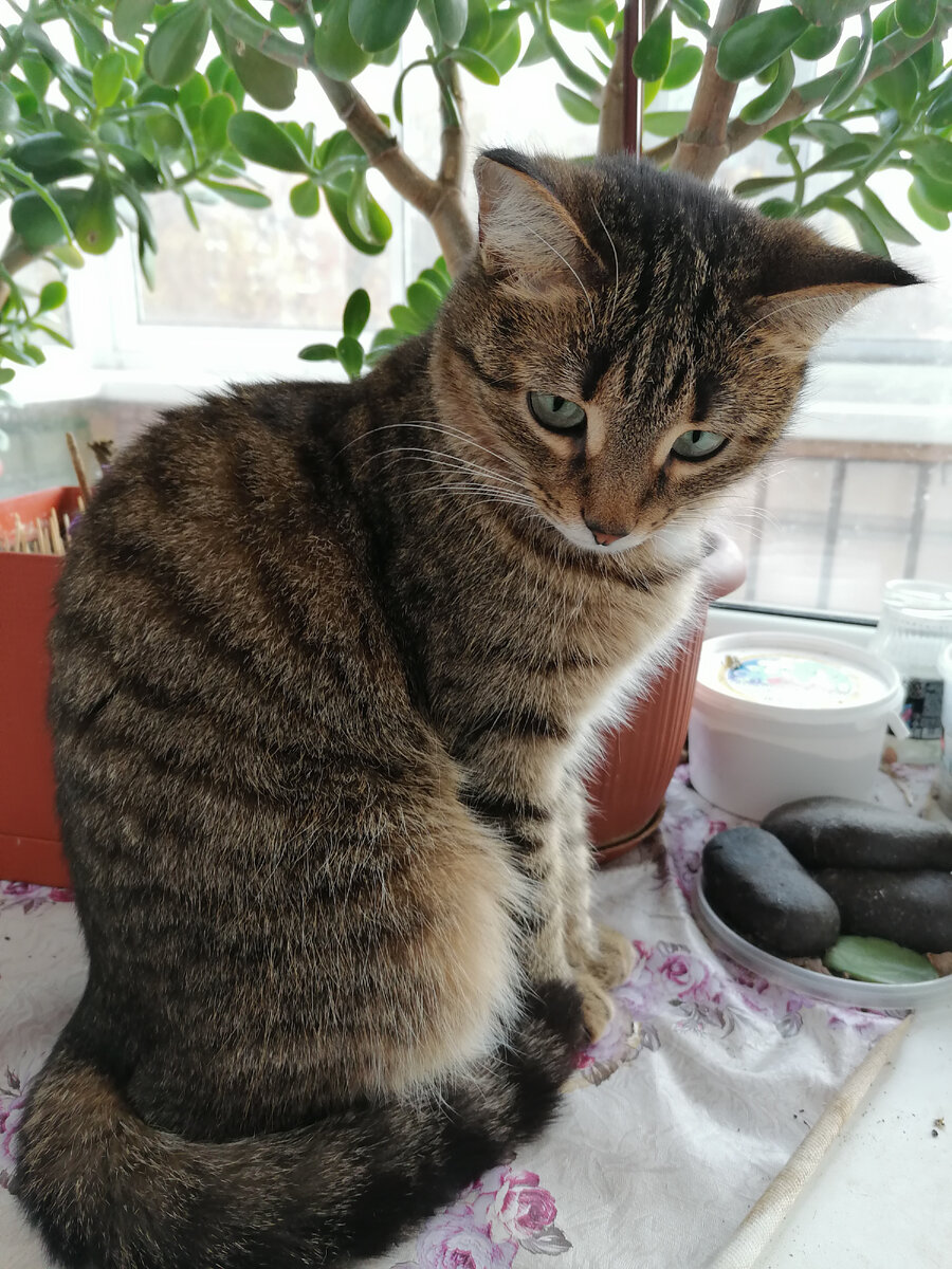 Фото автора