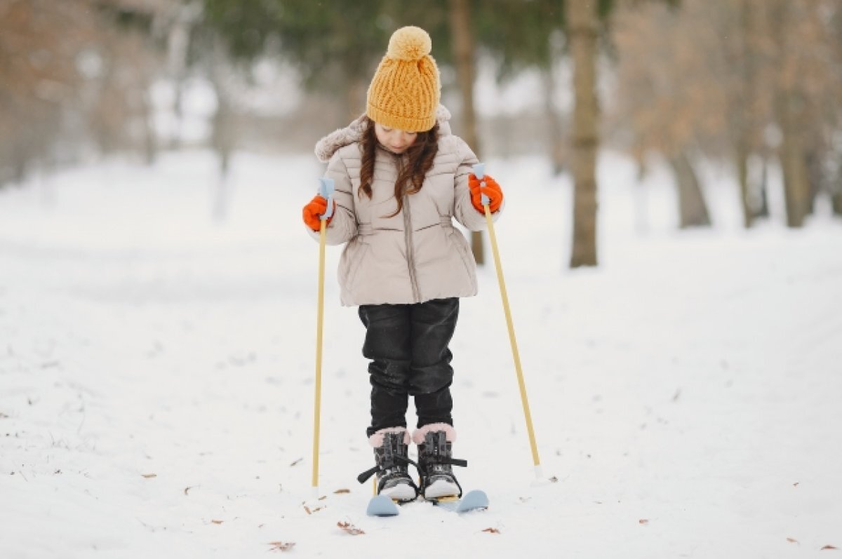   В центре Ярославля сделают трассу для лыжников