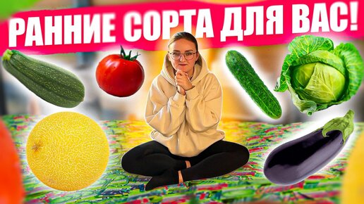 ЭТИ ОВОЩИ ДАДУТ УРОЖАЙ ПЕРВЫМИ! ТОП САМЫХ РАННИХ #семенаалтая