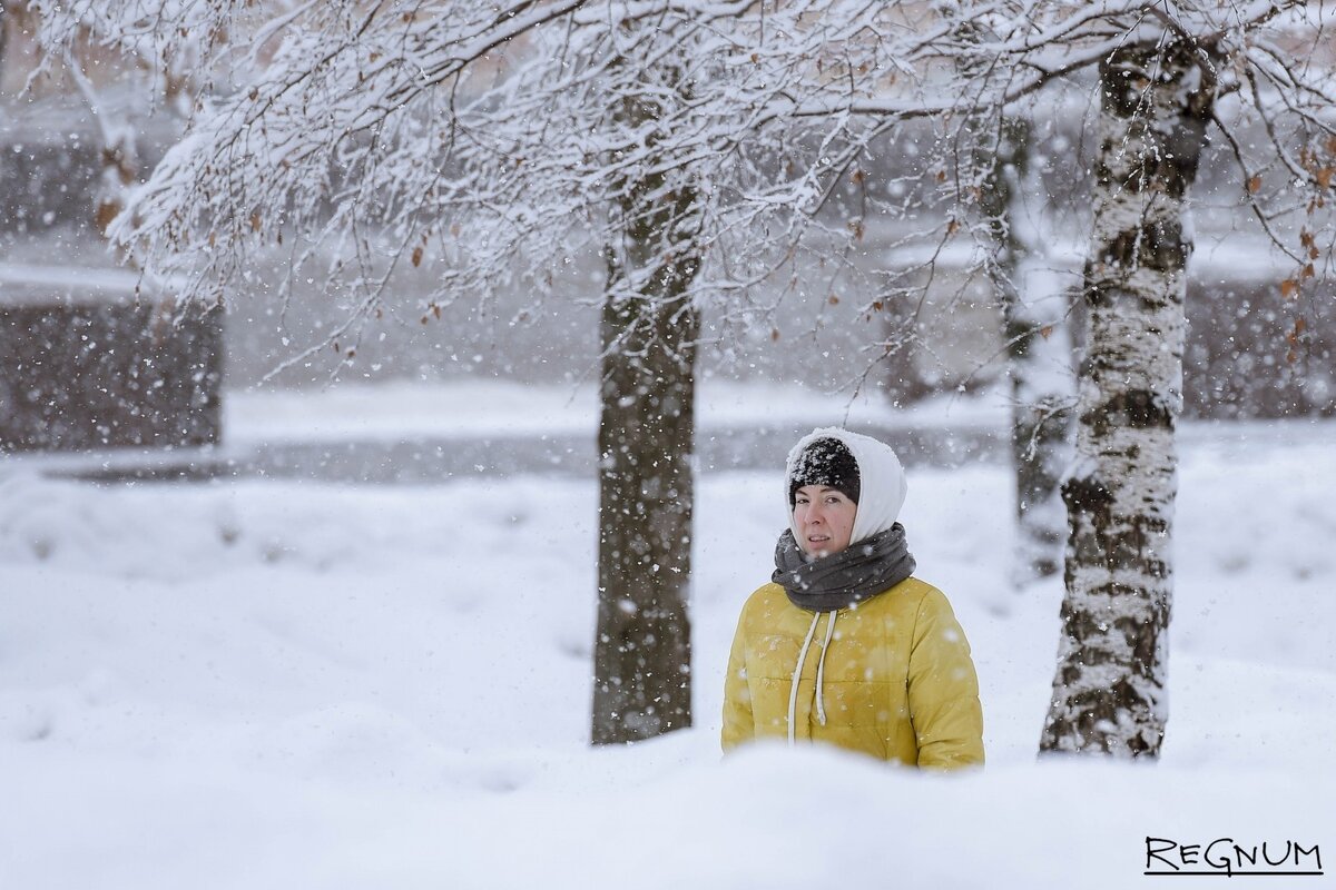    Снегопад в Москве Дарья Антонова © ИА REGNUM
