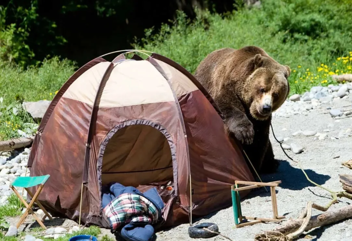 Туристы в лесу