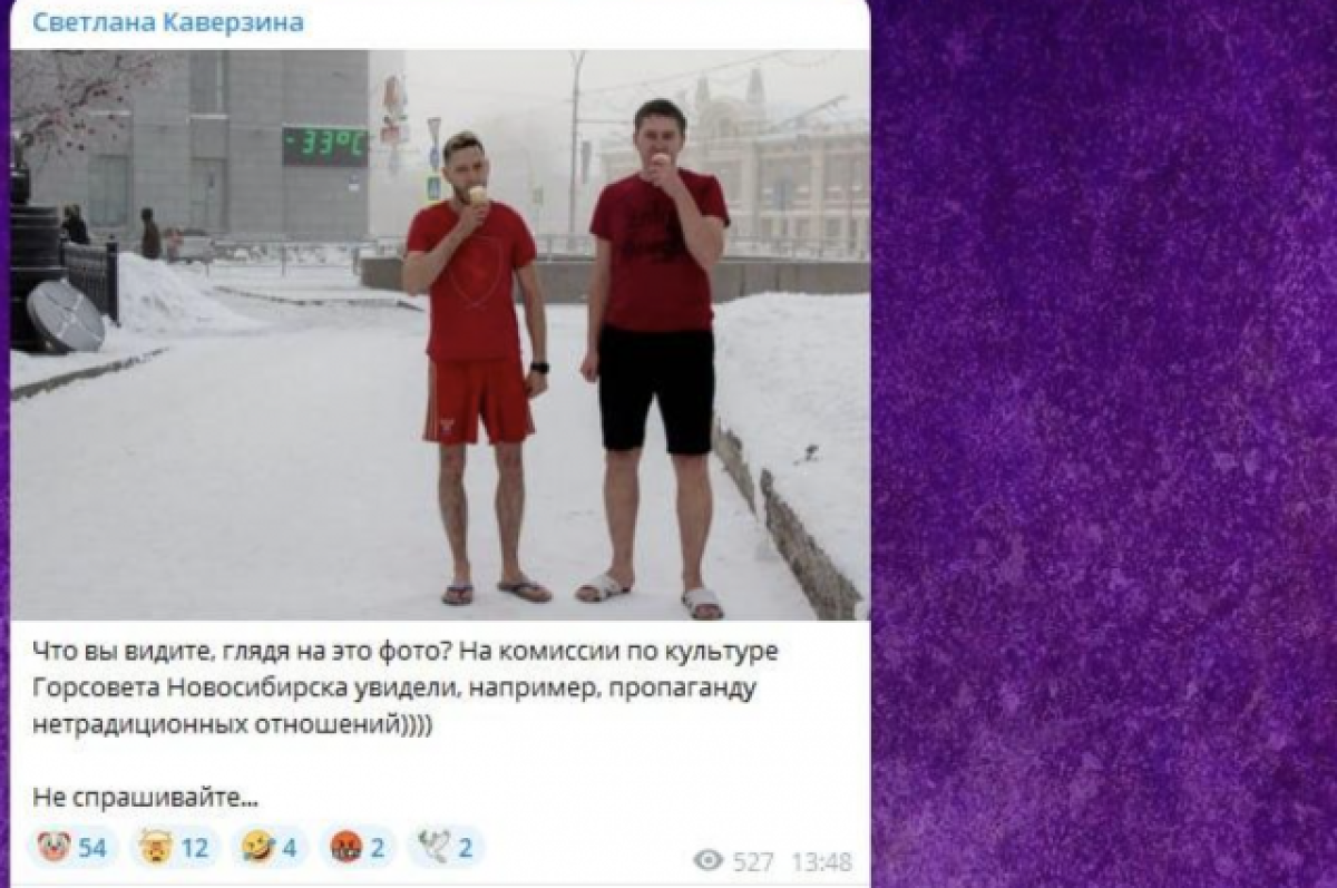    В Новосибирске власти нашли в фото двух мужчин с мороженым пропаганду ЛГБТ*