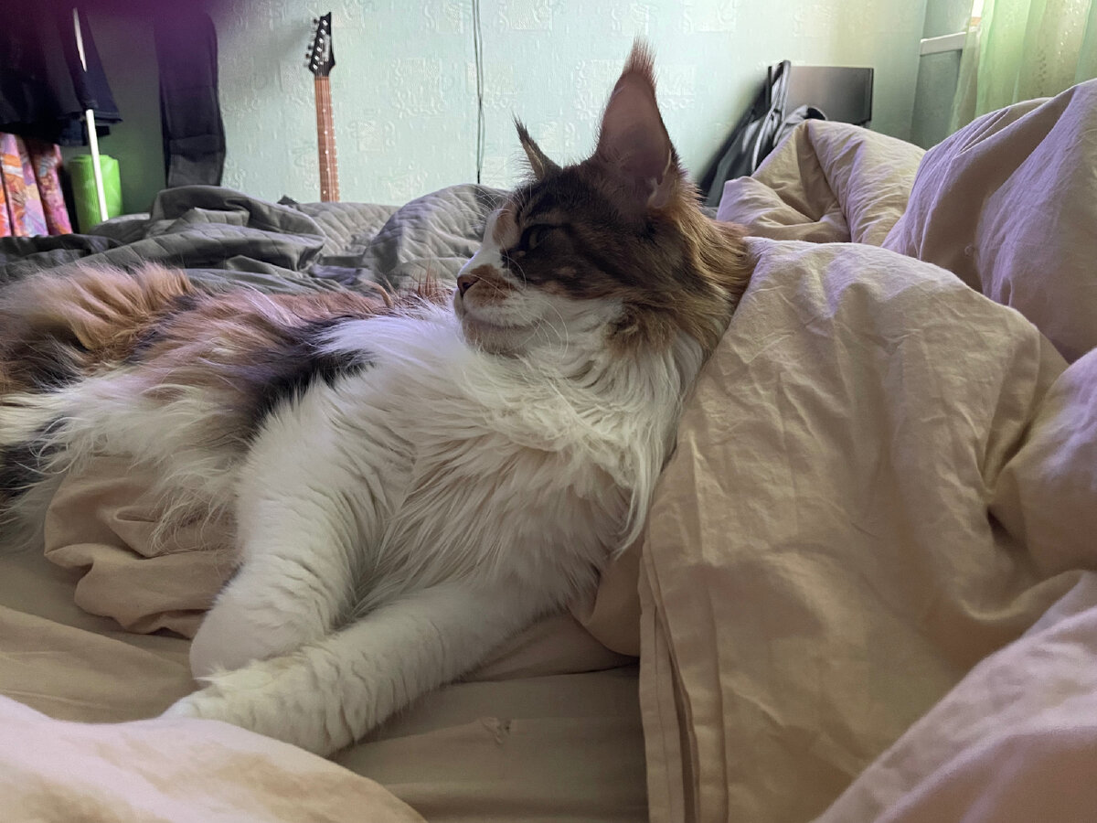 Да, уж! Всему вас учить надо!