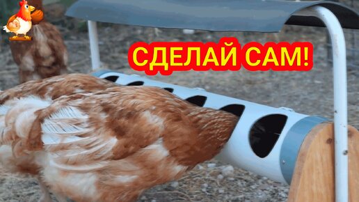 Кормушка курам из трубы с навесом 😮 Сделай сам своими руками и порадуй несушек ❗