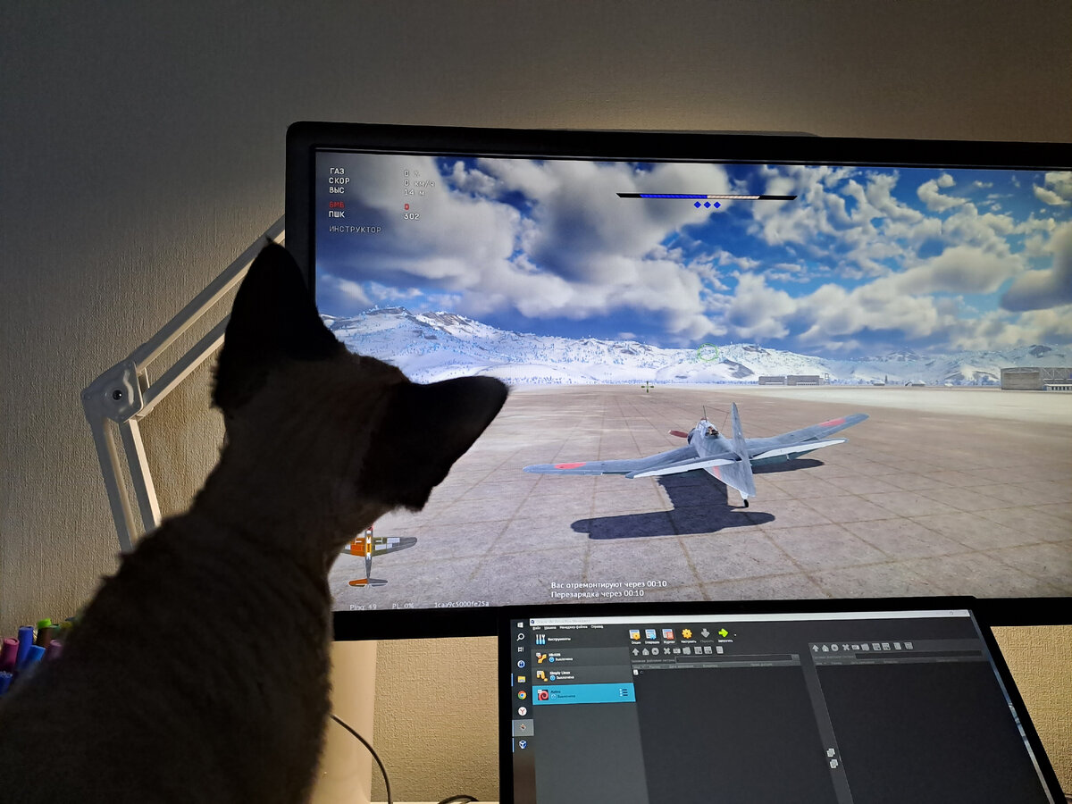 Кот играет в танки, чтобы стать пилотом