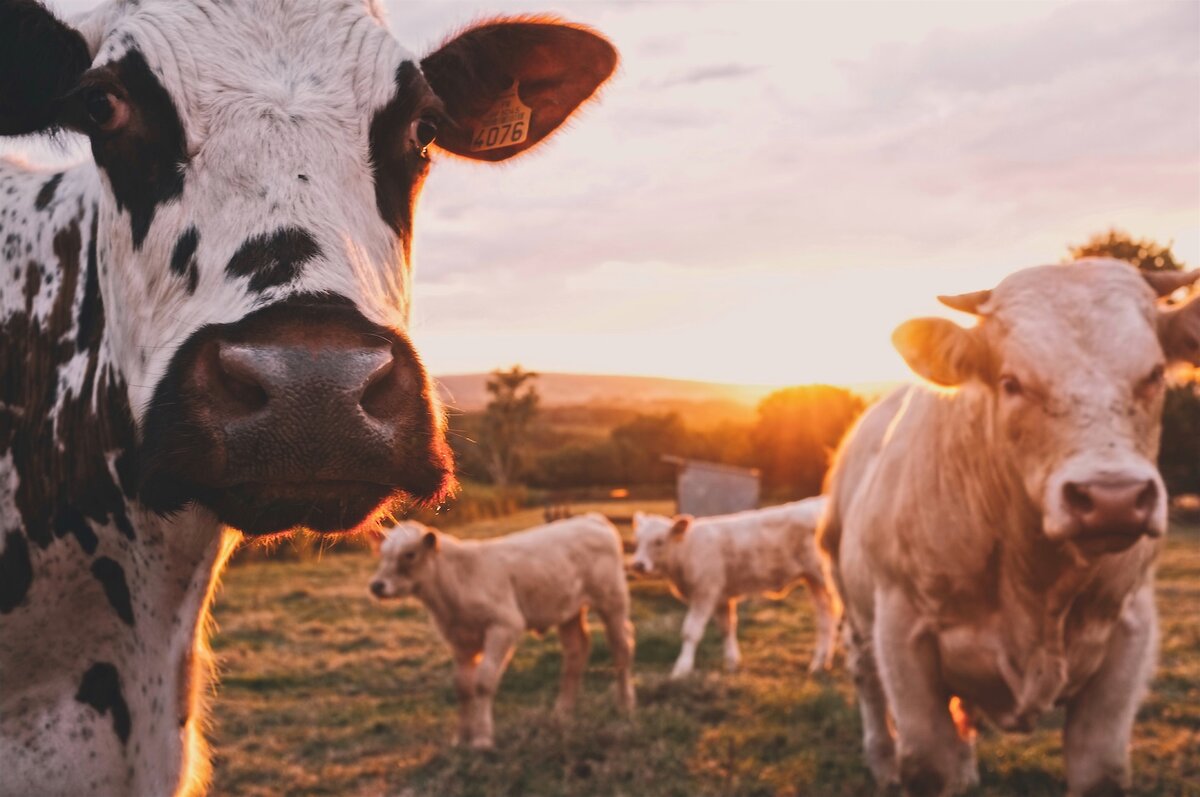 By Stijn te Strake on Unsplash