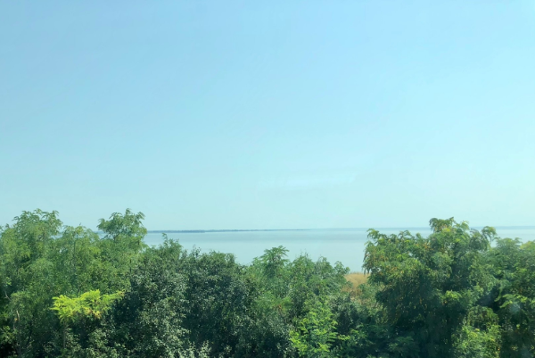 Азовское море из окна вагона. Фото автора