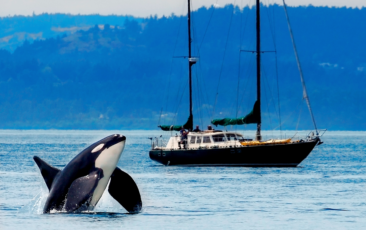 Оказывается, что и в наше время плавать по морям небезопасно. Фото: catalog-photo.ru