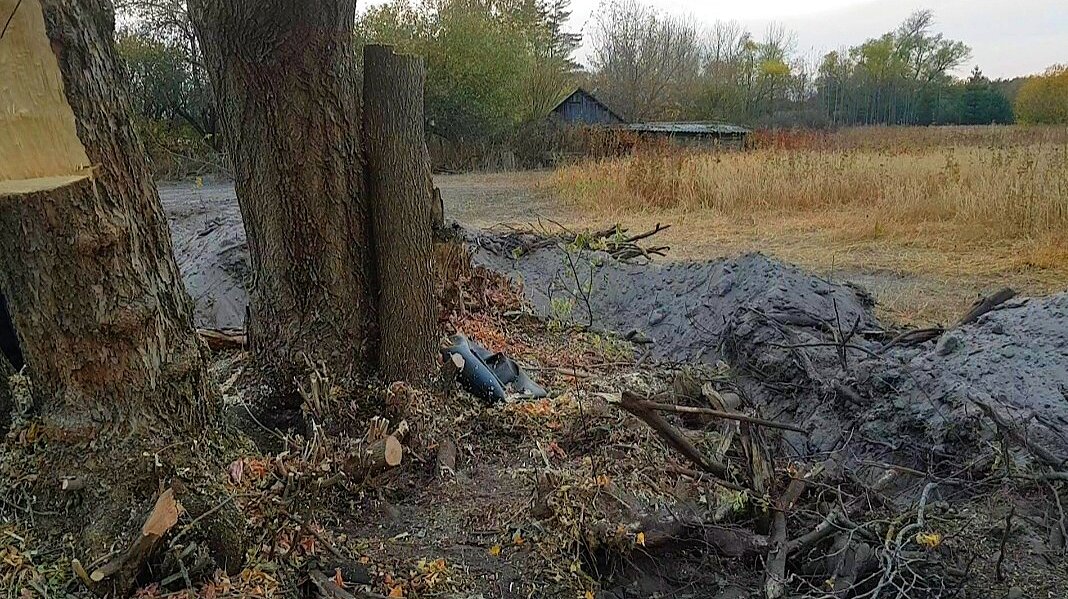 Вот таким был участок со стареньким домом и сараем. 