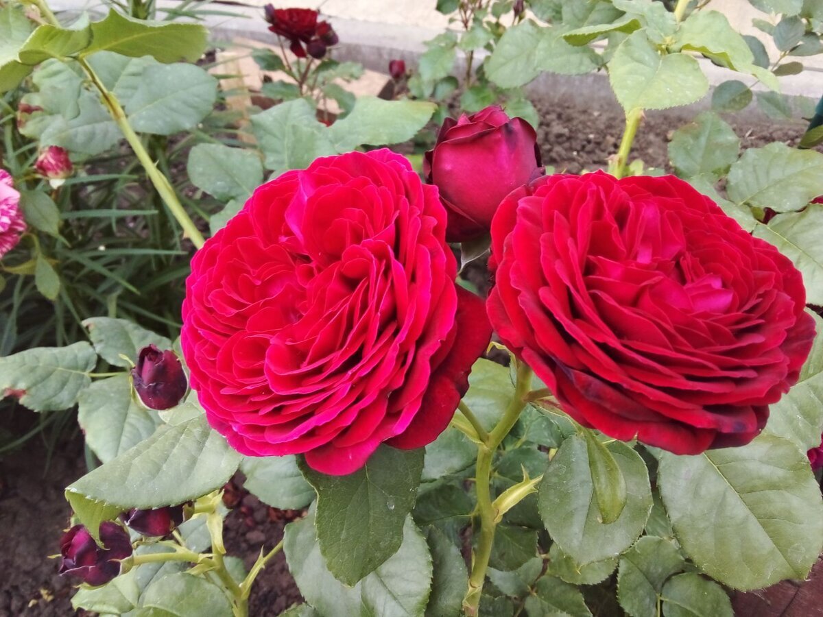 фото Натальи