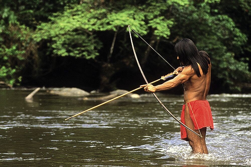 никитины амазонка