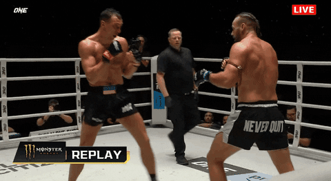 – Правый шокировал, левый прикончил.