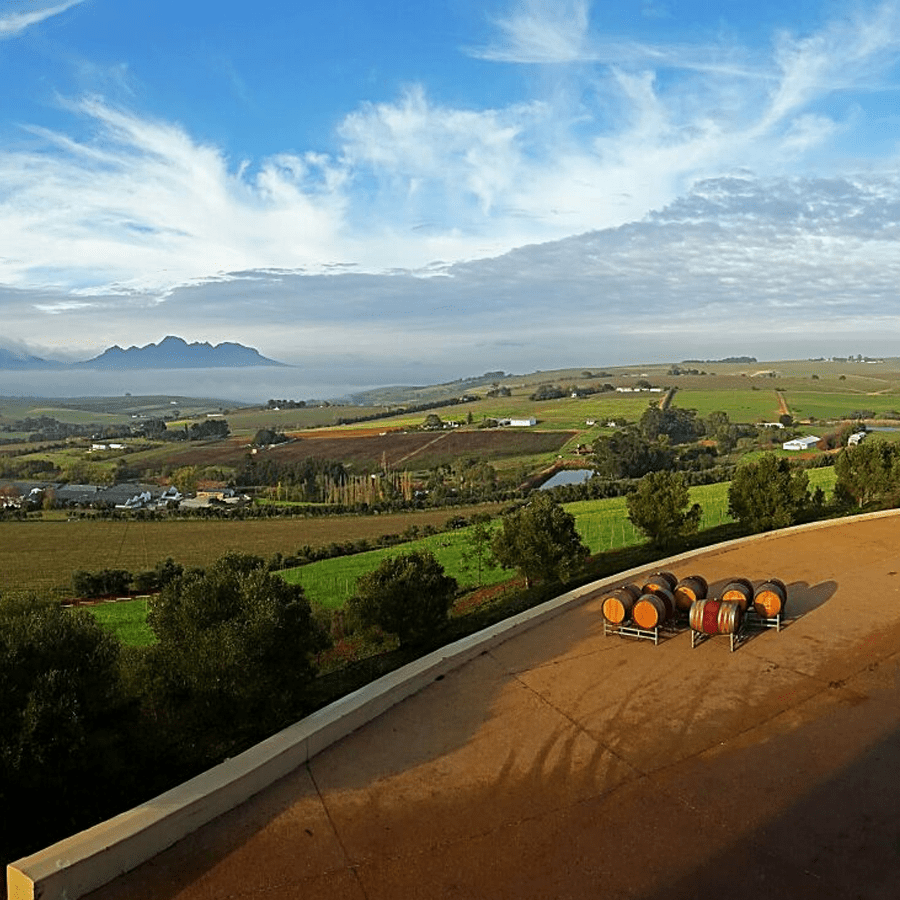 Фото: stellenviewwines.com