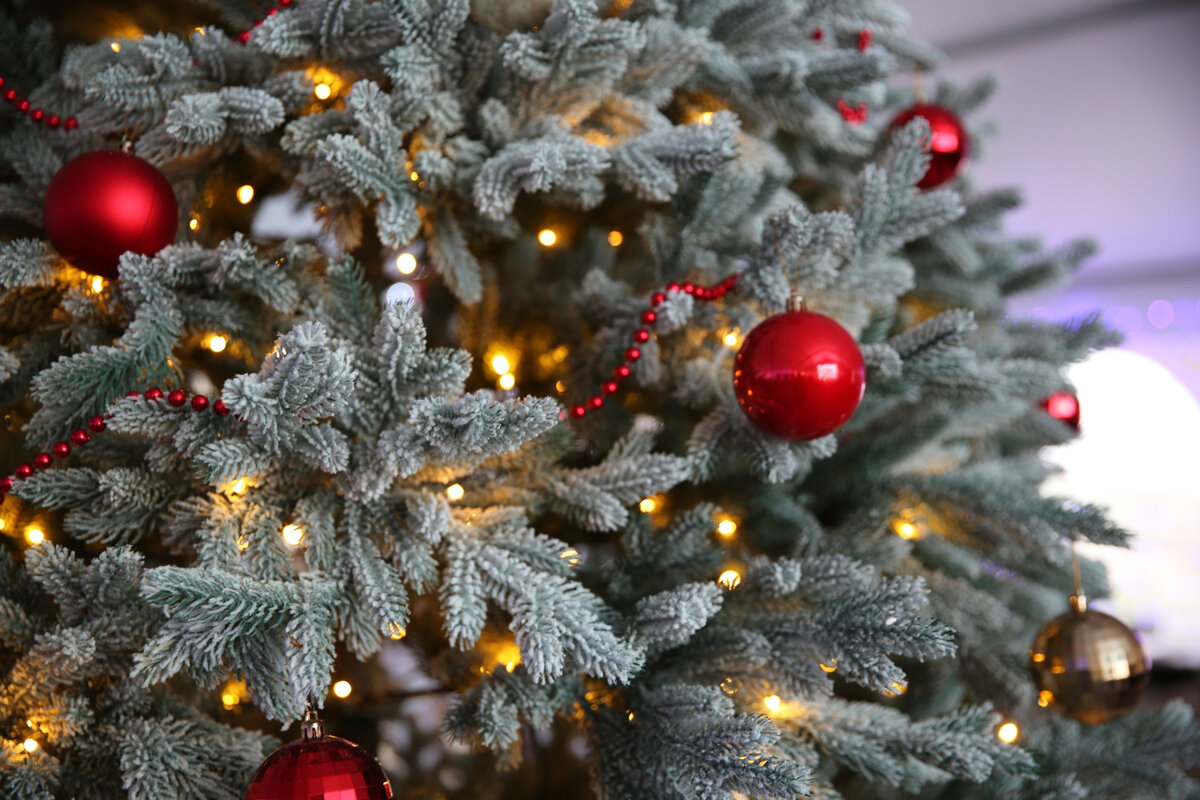 Елка в музее-заповеднике «Херсонес Таврический» // Фото со страницы Херсонеса в ВКонтакте