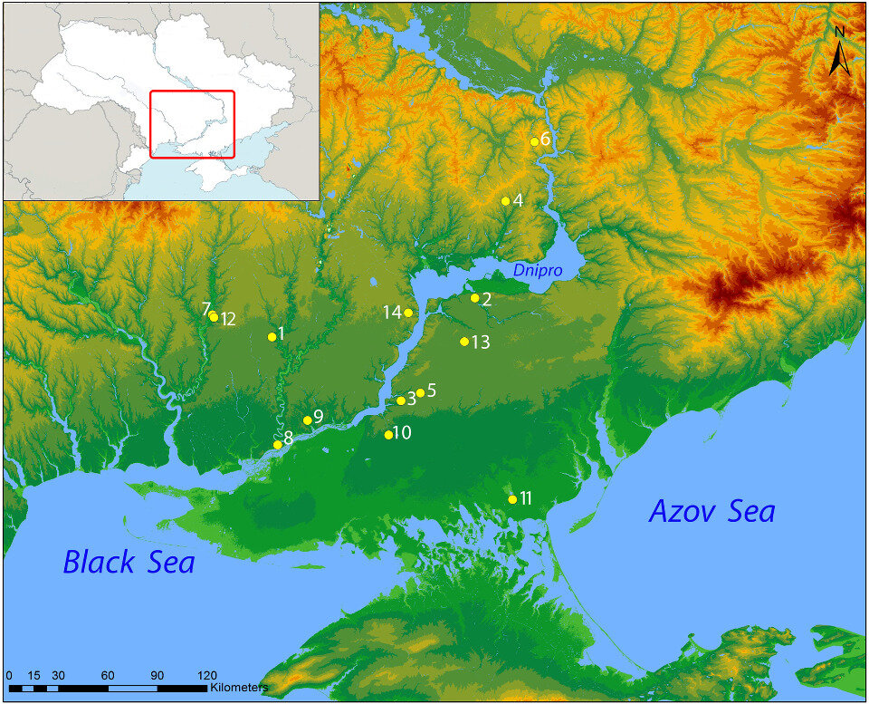   Luise Ørsted Brandt / PLoS ONE, 2023