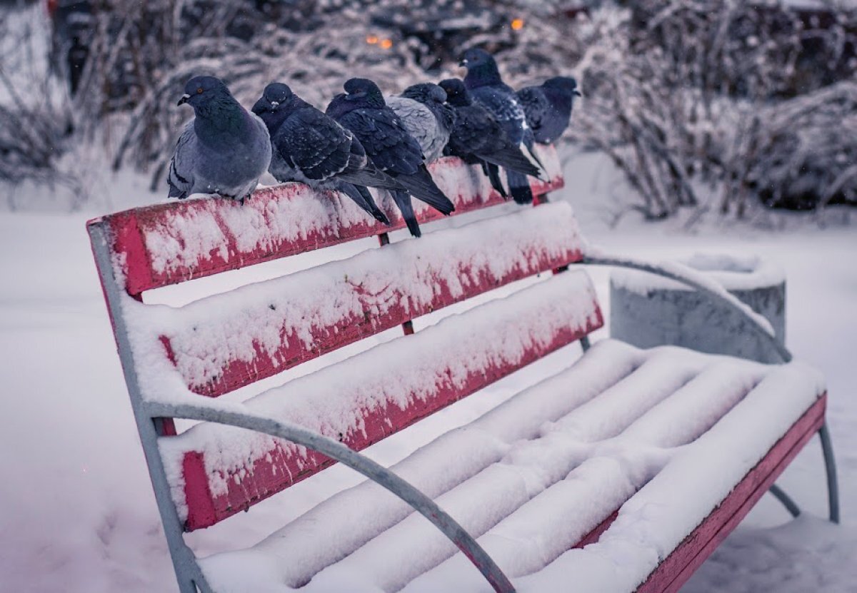   В Хабаровском крае ожидаются аномальные морозы
