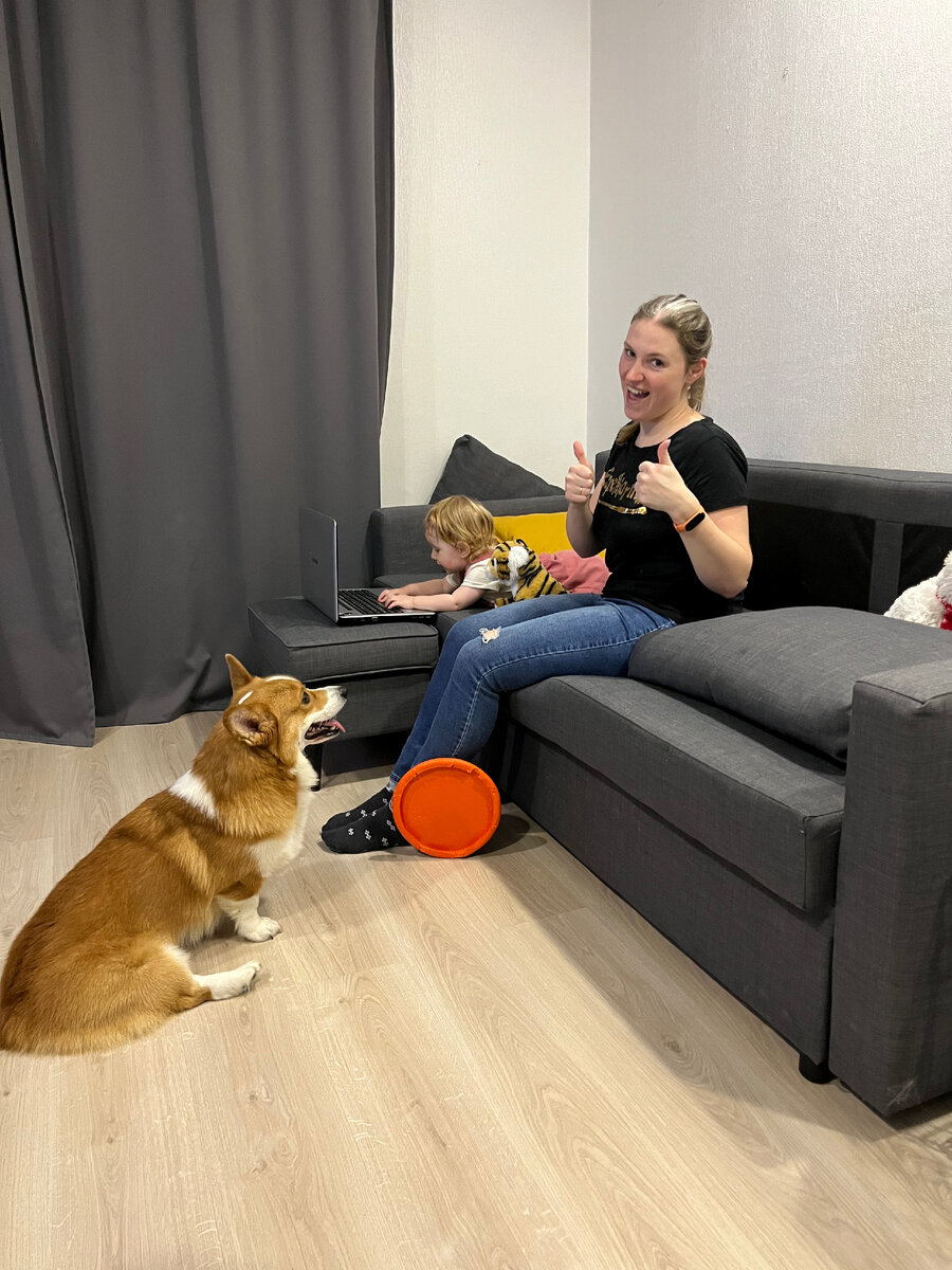 Любимое время вечером - ребенок лезет к ноутбуку, где я пишу статью, а собака - ко мне со своими игрушками :D