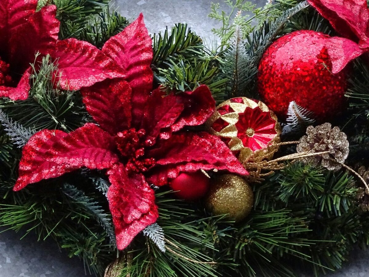 Пуансеттия рождественская. Мультикейс новогодние цветы. Пуансеттия рождественская. Рождественский пуансеттия на елку. Мультикейс новогодние цветы.