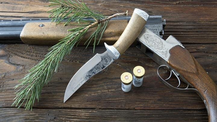 ФОТО: Nikolay Gyngazov/GLOBALLOOKPRESS